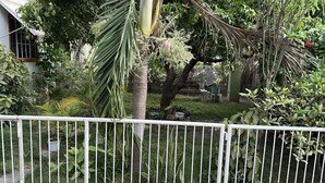 A lush garden with various plants and trees, a white fence, and a building with a window in the background. - Room-comfy Kingston Getaway - Private Ro (Kingston)