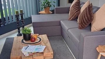 Televisión y libros