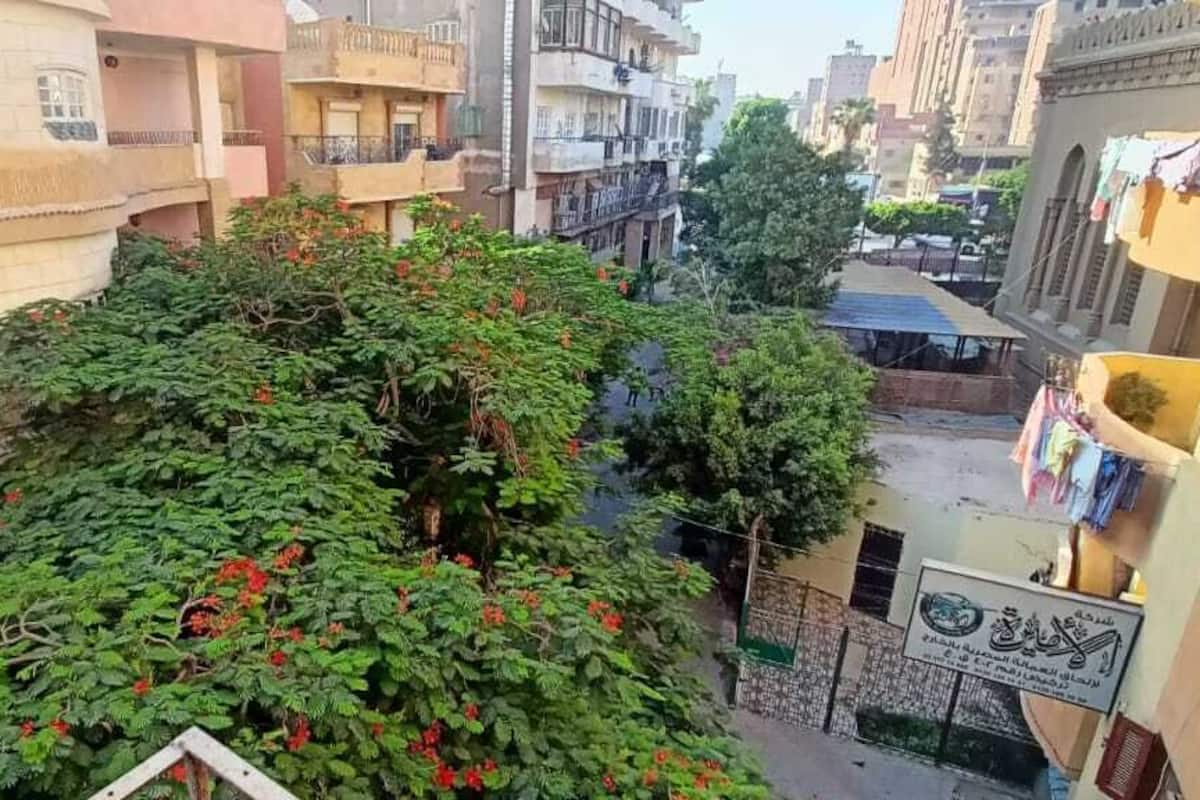 Zona residencial con edificios de varios pisos, un árbol con flores rojas y un letrero.