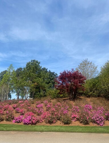 Masters rental Luxury Charming 4-bedroom farmhouse with WiFi, AC Grovetown