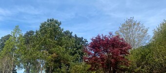 Masters rental Luxury Charming 4-bedroom farmhouse with WiFi, AC Grovetown
