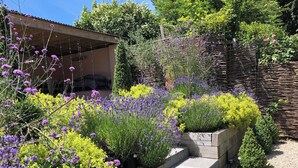 Garden - Saskia's Rooms (Winchester)