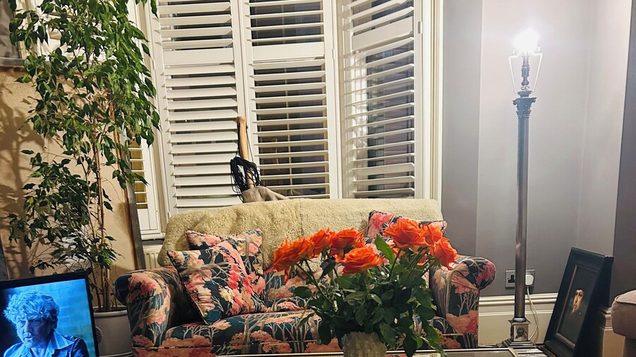 Saskia's Rooms