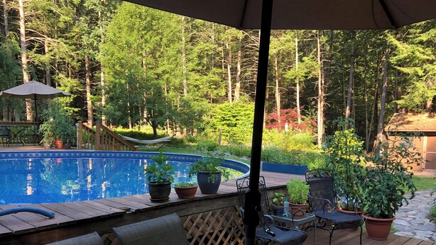Eine Holzterrasse mit Pool, umgeben von Topfpflanzen und einer Hängematte.