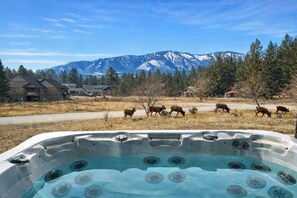 Outdoor spa tub - Ultimate Family Retreat | Beach, Hot Tub & Games (Invermere)