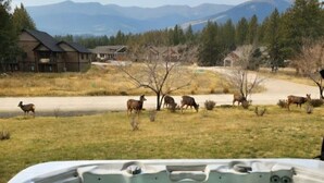 A hot tub with a mountain view, surrounded by a grassy area with deer.