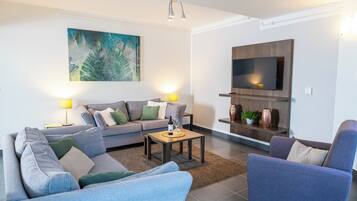 TV, fireplace, ping pong, books