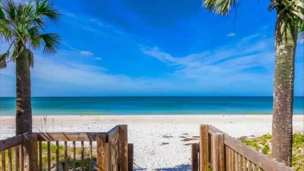 Een houten pad dat naar een strand leidt, met palmbomen en een helderblauwe lucht.