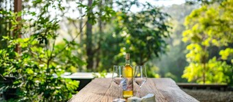 Eco Off Grid Cabin- 2 minutes from Bellingen