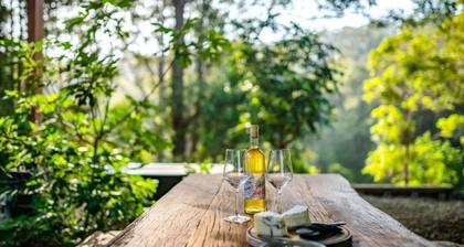 Eco Off Grid Cabin- 2 minutes from Bellingen