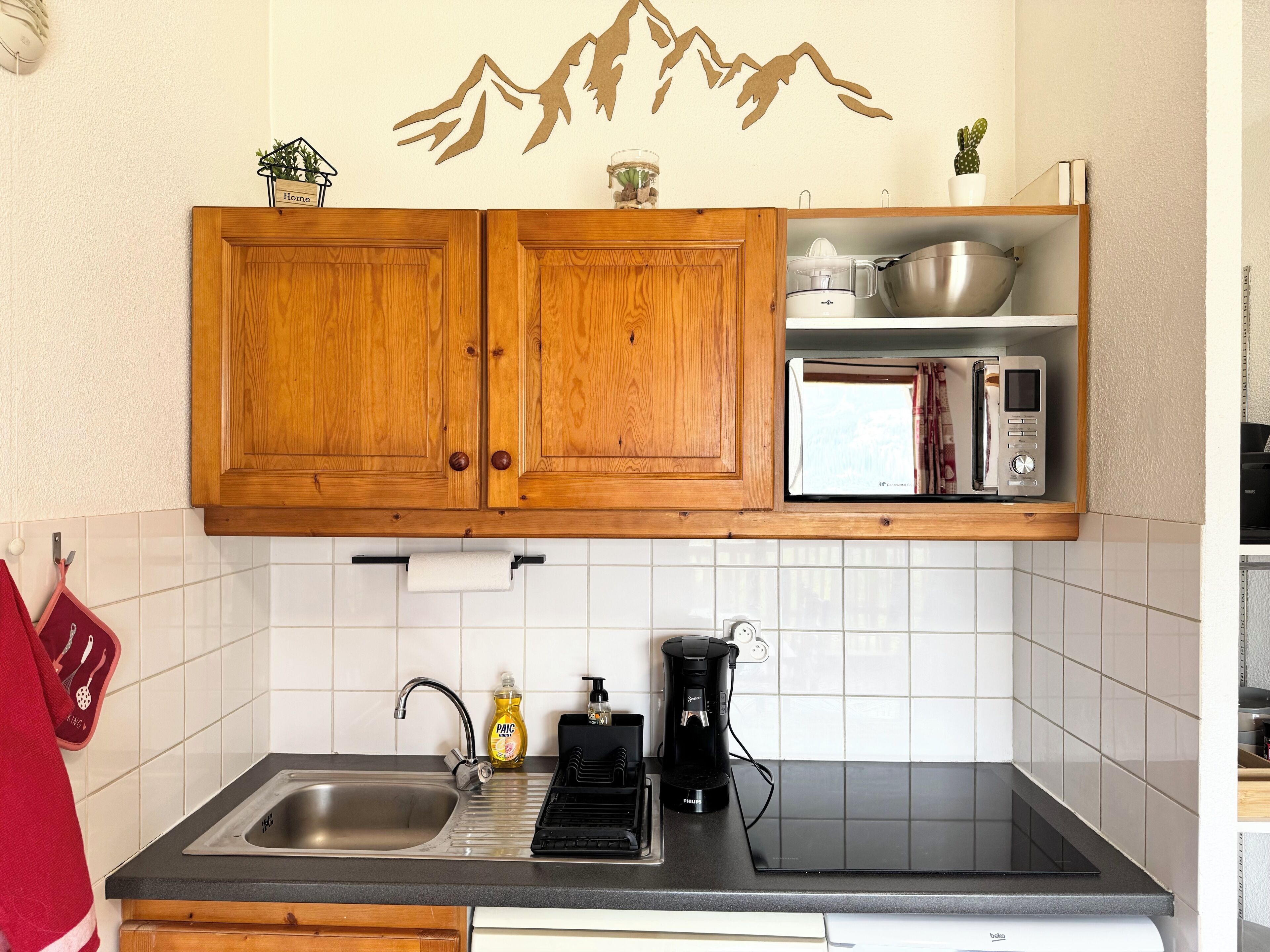 Kühlschrank, Mikrowelle, Herdplatte, Geschirrspüler