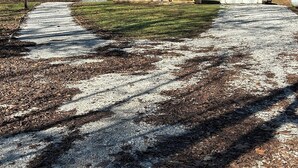 Una strada sterrata conduce a una casetta di legno con veranda, immersa tra gli alberi.