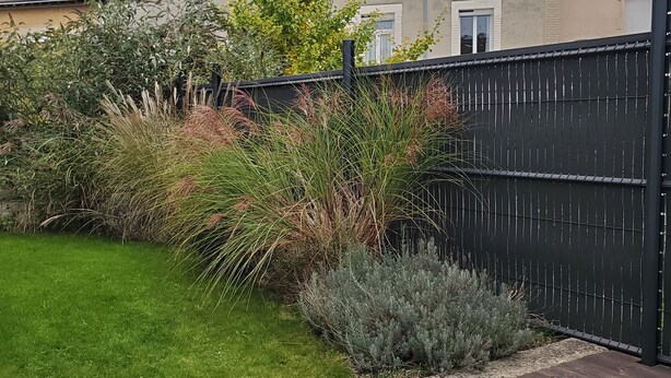 Ein Garten mit verschiedenen Pflanzen und einem schwarzen Zaun.