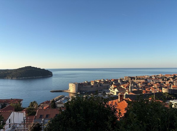 Vista desde la propiedad