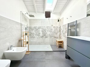 Shower, hair dryer, bidet, towels