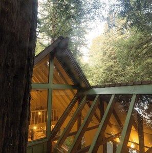 Property grounds - Redwood Treehouse Retreat Near Muir Woods w Deck (Mill Valley)
