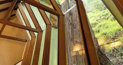 Redwood Treehouse Retreat Near Muir Woods w Deck
