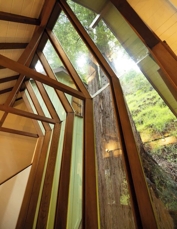 Interior - Redwood Treehouse Retreat Near Muir Woods w Deck (Mill Valley)