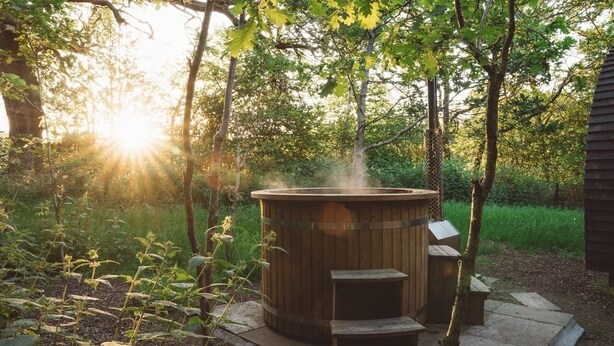 A hot tub in a garden with steps leading up to it, surrounded by trees and greenery.
