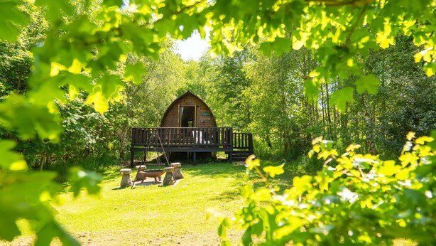 A wooden cabin with a deck, surrounded by dense greenery.