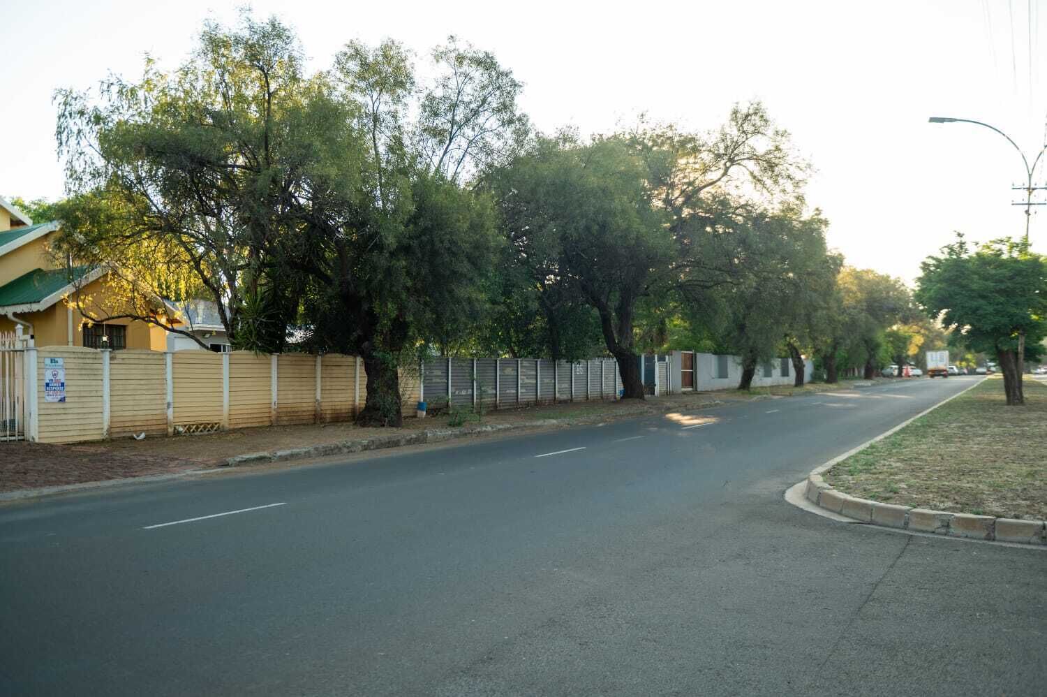A quiet street lined with trees and a fence, leading to a building with a green roof.