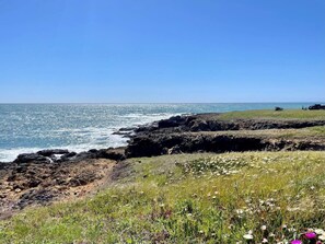 Camastros y toallas de playa 