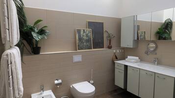 Shower, hair dryer, bidet, towels