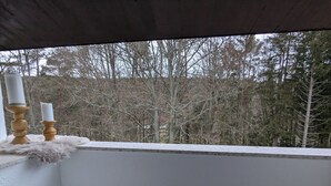 A balcony with a view of leafless trees and a white railing.