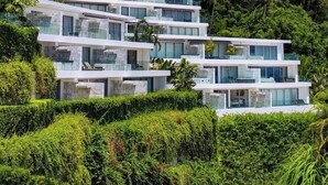A multi-story modern building with large glass windows, surrounded by lush greenery and palm trees.