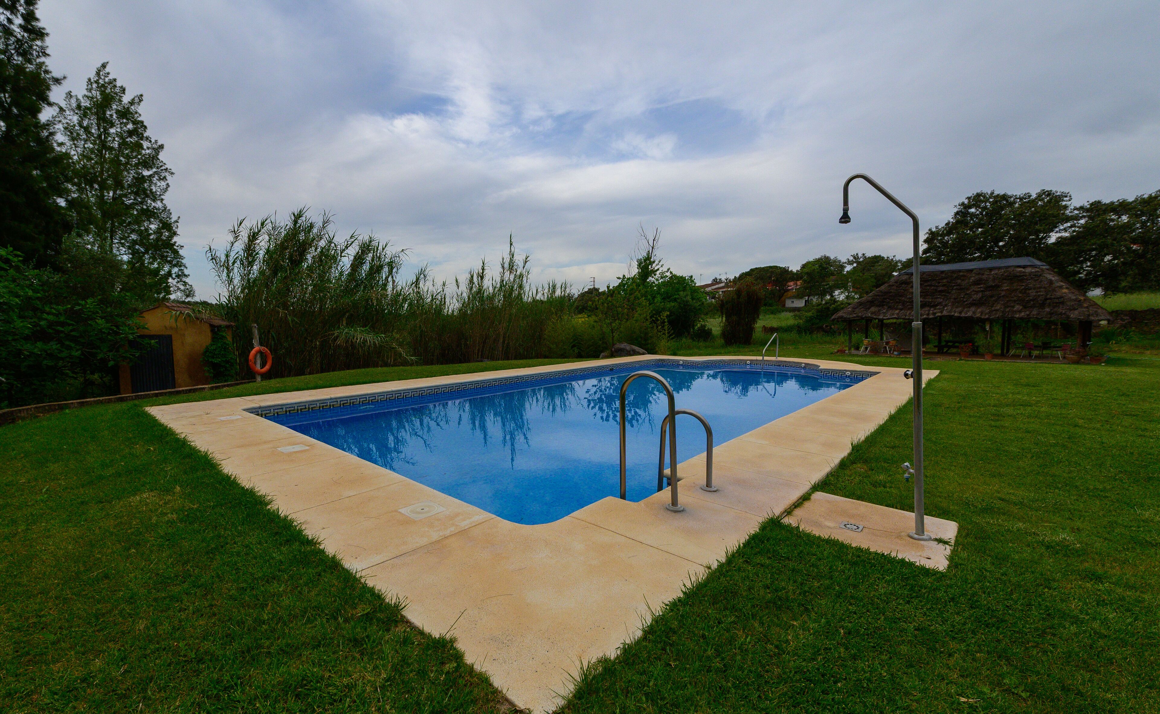 A rectangular swimming pool with a blue interior, surrounded by a concrete deck and a grassy lawn.