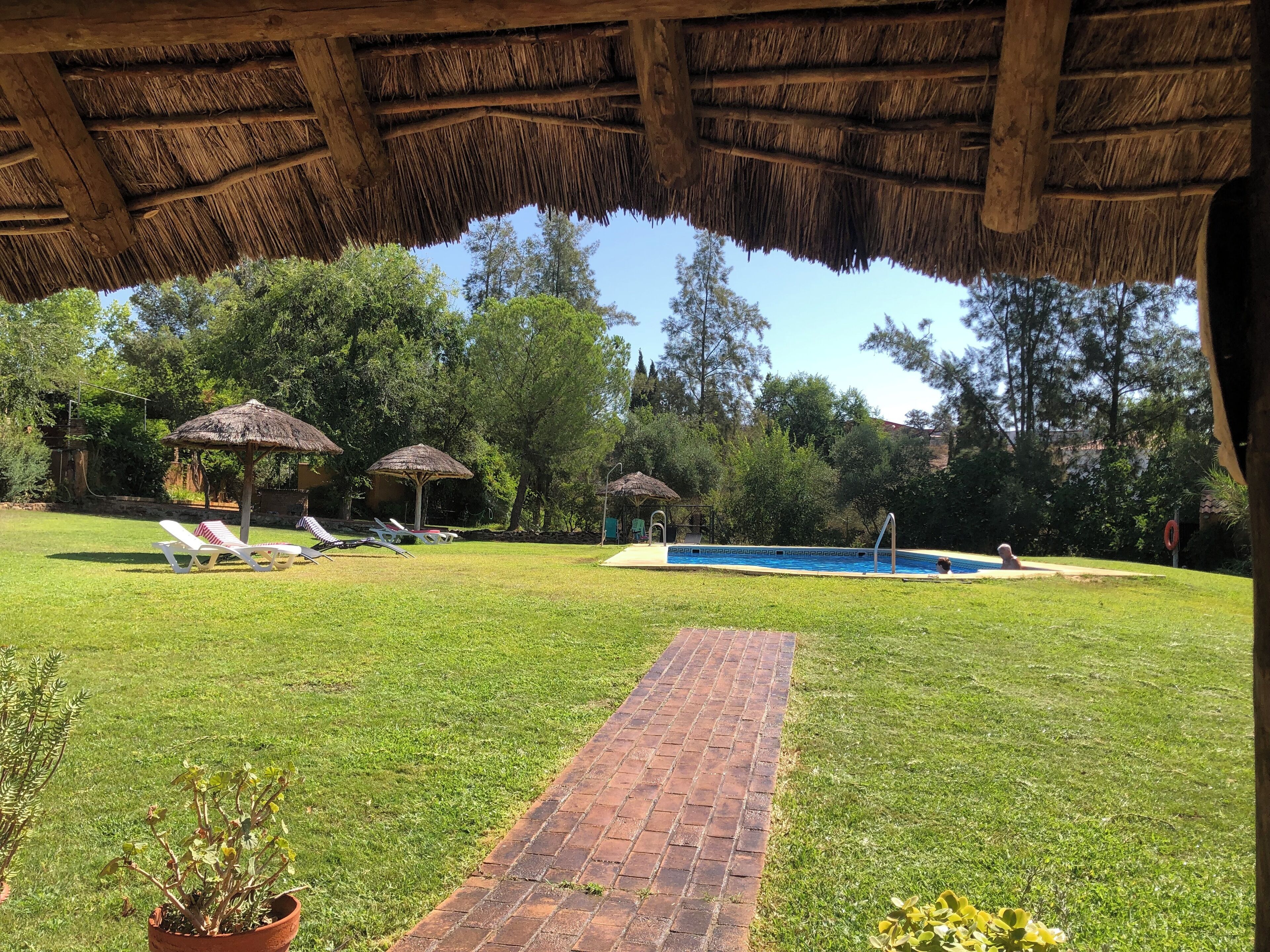 屋外プール、プール パラソル、サンラウンジャー