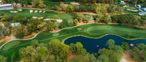 Golfe