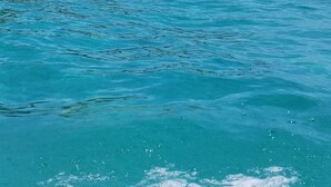 A beach with clear turquoise water and a forested hill in the background. - Hostal Cay (Bastimentos)