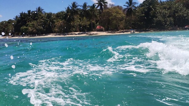 A beach with clear turquoise water, palm trees, and a sandy shore. - Hostal Cay (Bastimentos)