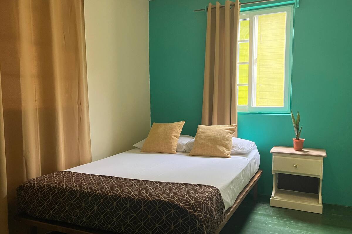 A bed with a patterned bedspread, two pillows, and a bedside table with a plant.