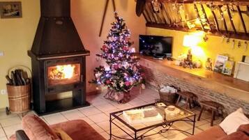 TV, fireplace, table tennis