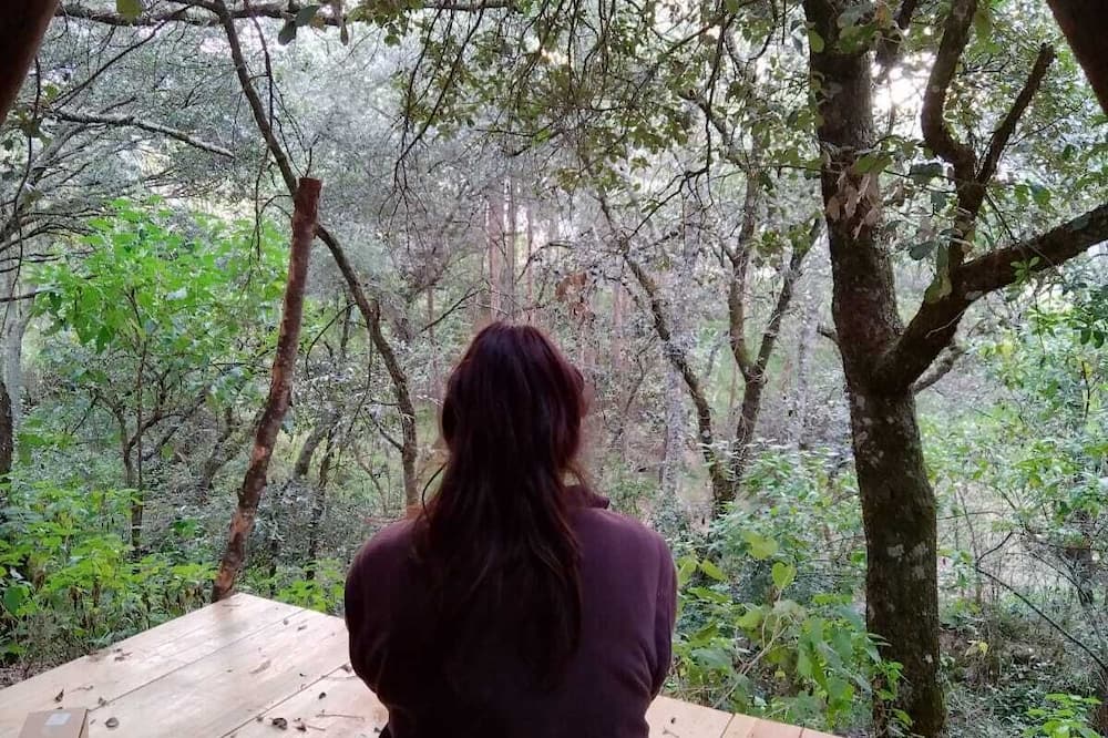 Cabañas Matlahuacales - Tetla de la Solidaridad