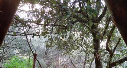 Cabañas Matlahuacales