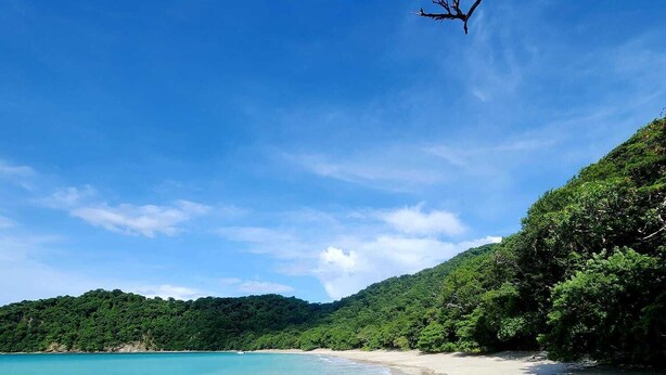 A beach with clear turquoise water, a sandy shore, and a forested hillside. - APARTMENT EL JOBO, LA CRUZ, AT 700 MTRS COPAL BEACH, 8 MIN FROM RAJADA (Provincia de Guanacaste)