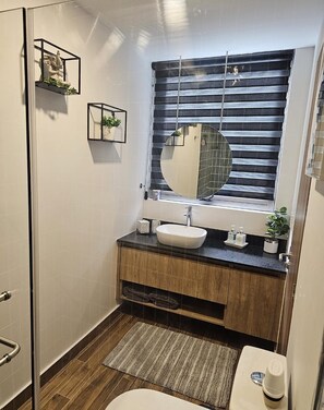 Hair dryer, towels, soap, toilet paper