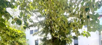 Wine House Apartments