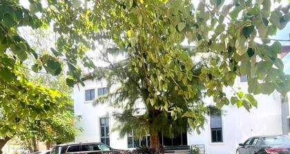 Wine House Apartments