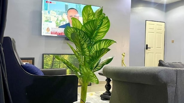 Un saló modern amb un sofà gris, una cadira negra, un vas de color blanc amb una planta i un televisor fixat a la paret.