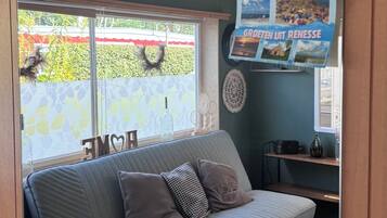 Smart TV, fireplace, DVD player, books