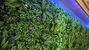 A room with a wall covered in various green plants and flowers, a wooden cabinet, and a light blue pillow on the floor. - Chalet near the beach in Zeeland - perfect for water sports, cycling & relaxation (Brouwershaven)