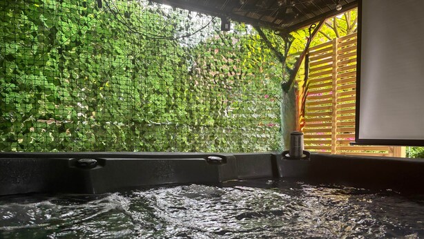 A hot tub with water, surrounded by a green leafy wall and a wooden structure.