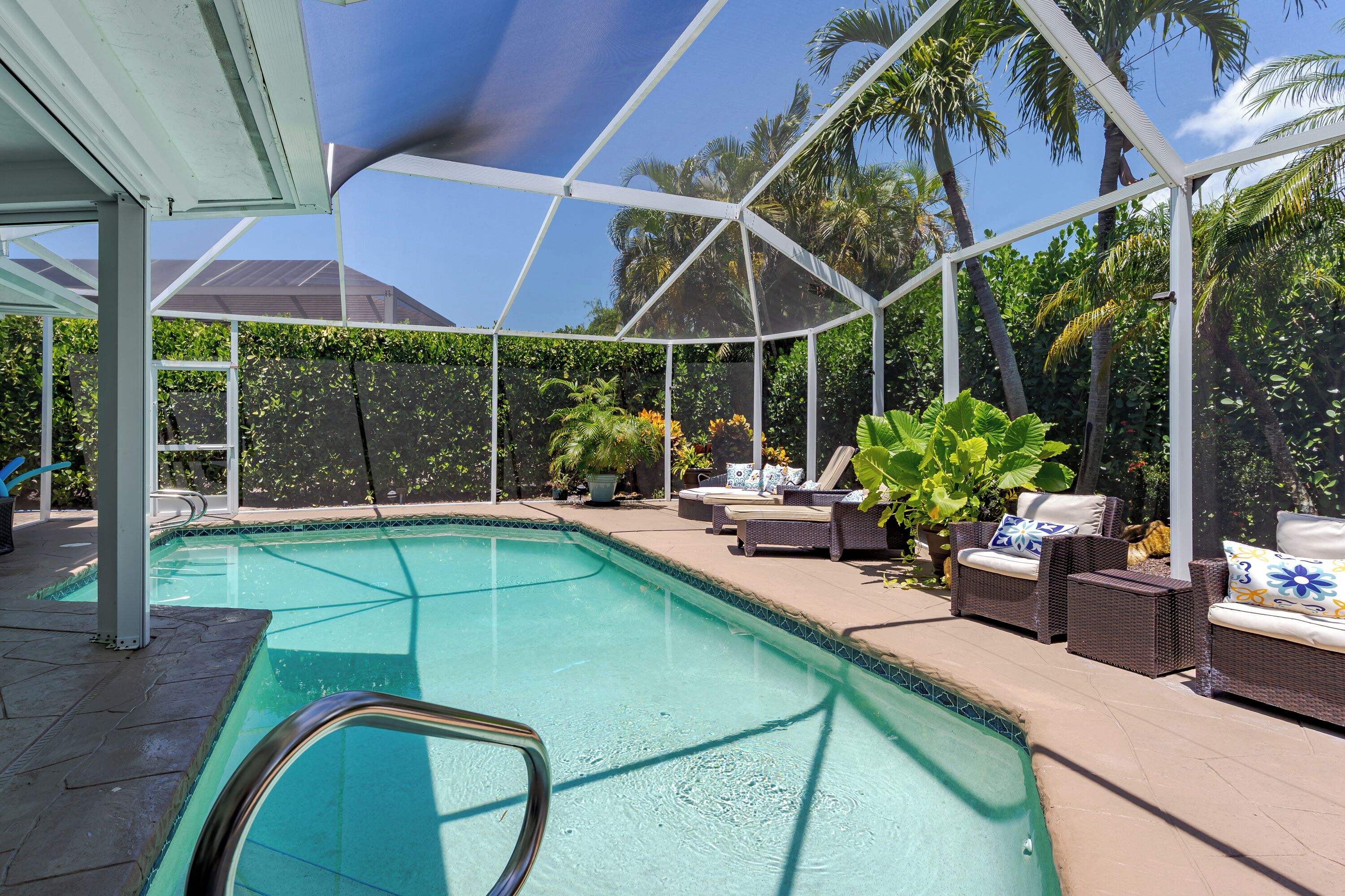 Une piscine couverte avec des chaises longues et des plantes en pot.