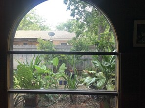 A window with a view of a garden, a satellite dish, and a building in the background.