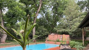Ein Swimmingpool mit blauer Liegeauflage, einer Backsteinmauer und einem Baum im Hintergrund.