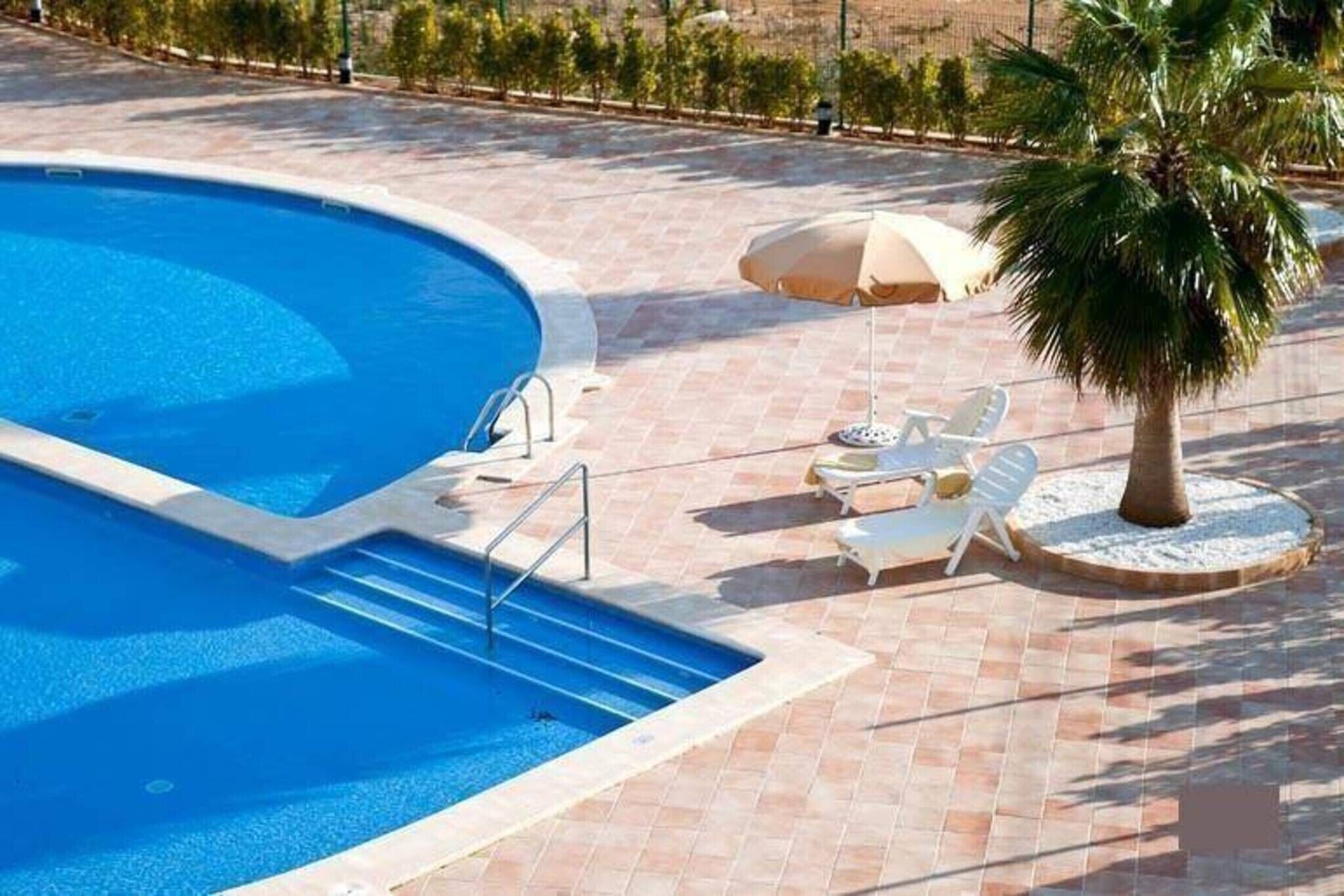 A swimming pool with a curved edge, a palm tree, and lounge chairs.